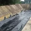 Пленка техническая черная