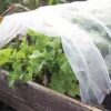 Полиэтиленовая пленка Эко